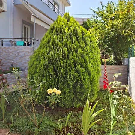 Myksamil Ksamil
