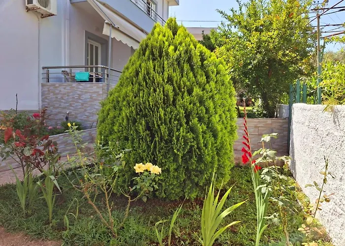 Myksamil كساميل